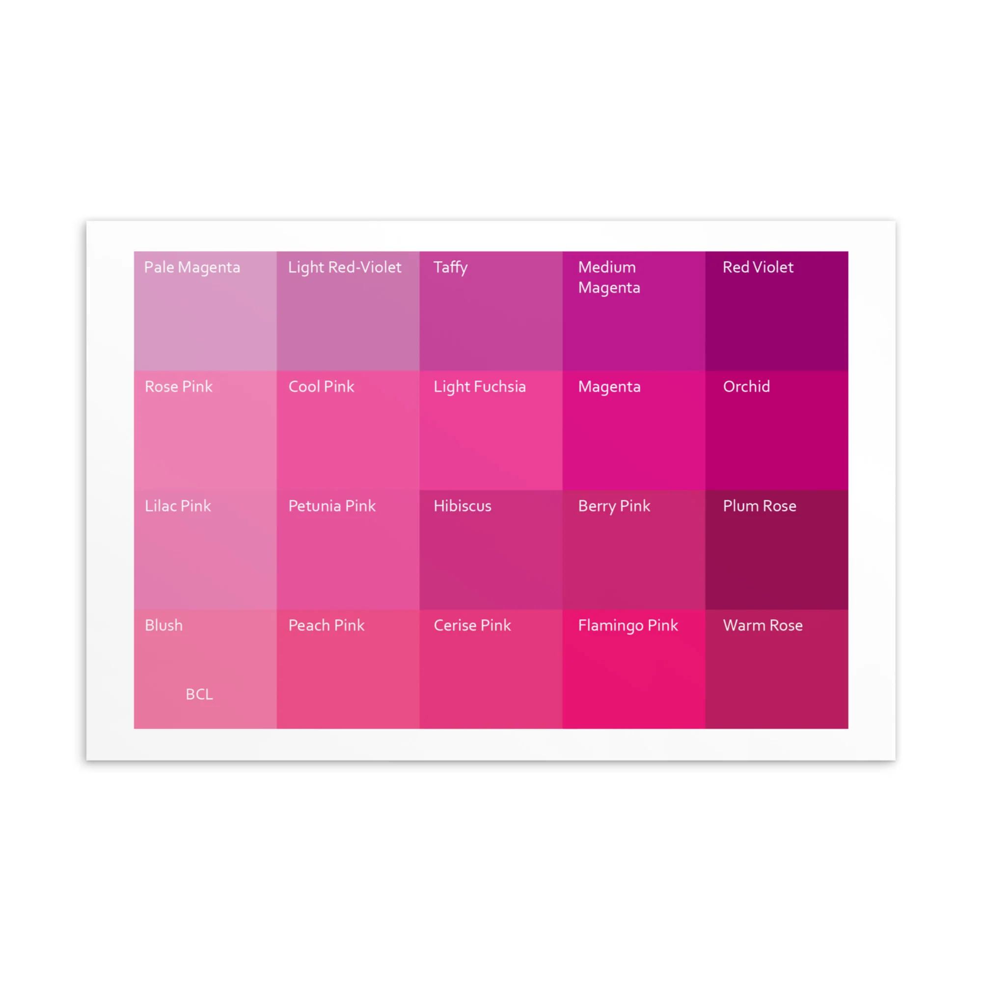 Bright Cool Light Pinks - Color Palette Print - Image 2