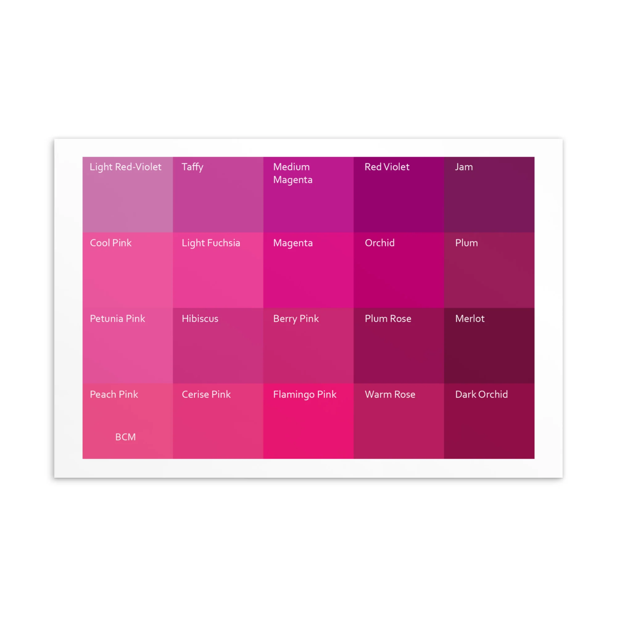 Bright Cool Medium Pinks - Color Palette Print - Image 2