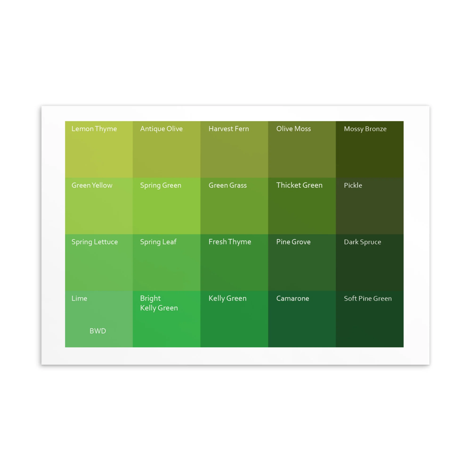 Bright Warm Deep Warm Greens - Color Palette Print - Image 2