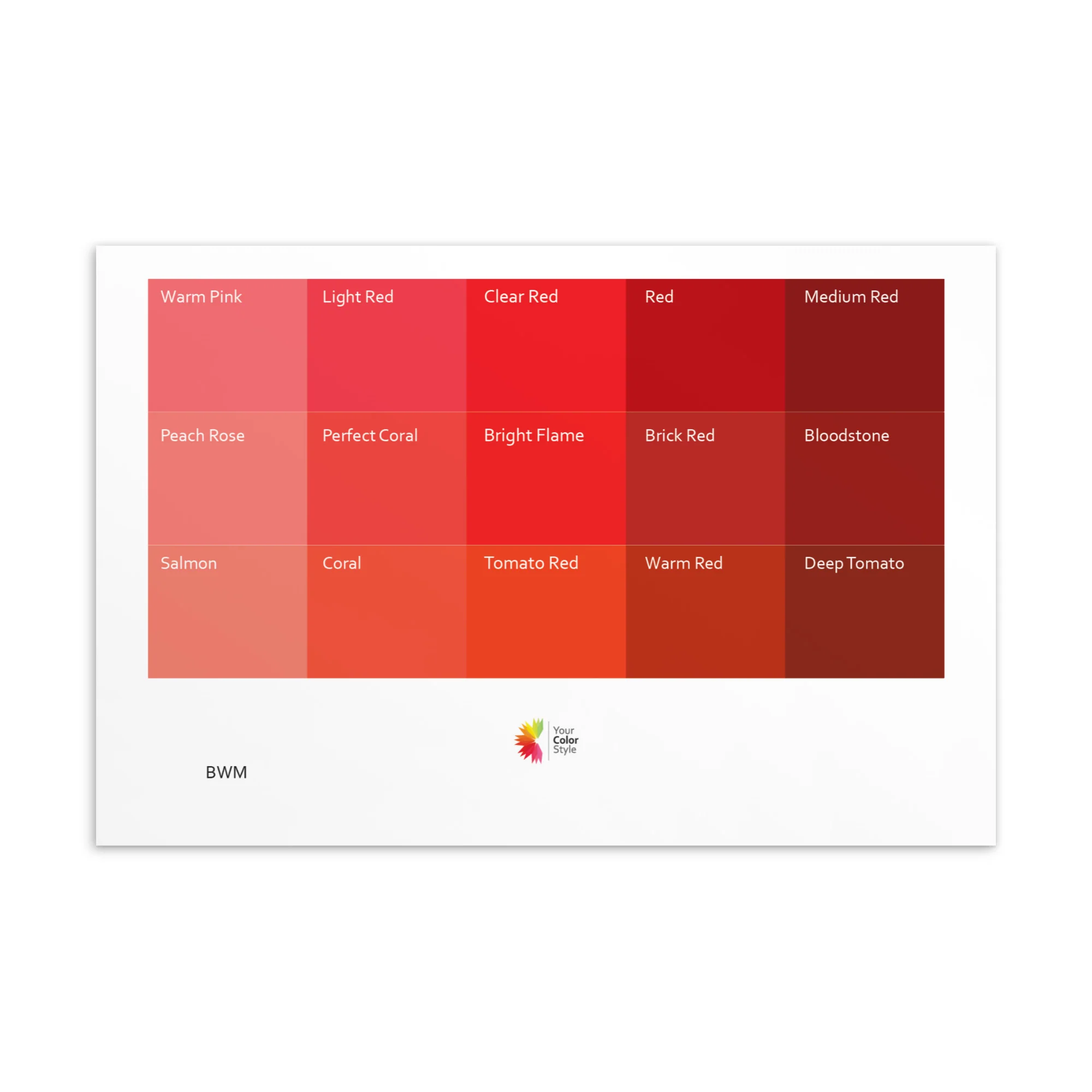 Bright Warm Medium Reds - Color Palette Print - Image 2