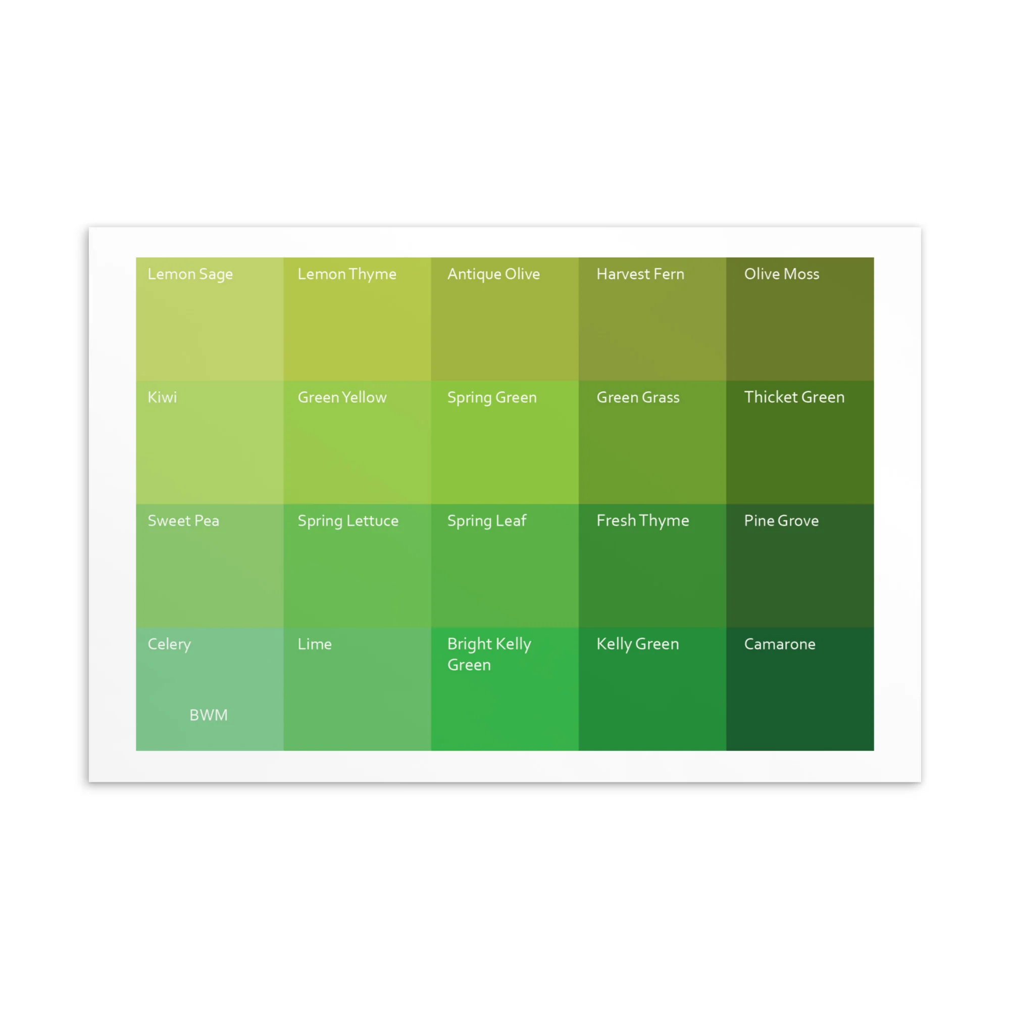 Bright Warm Medium Warm Greens - Color Palette Print - Image 2