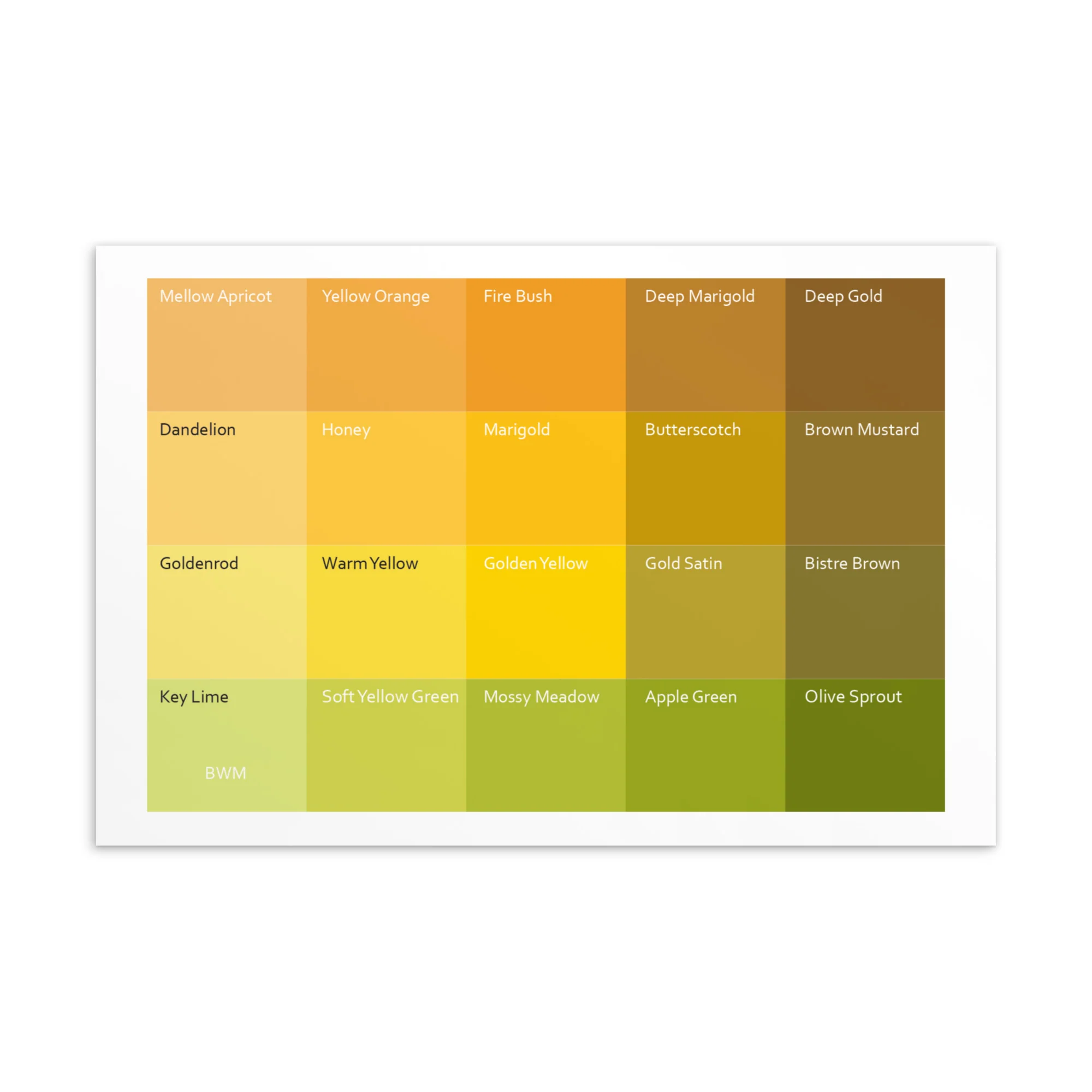 Bright Warm Medium Yellows - Color Palette Print - Image 2