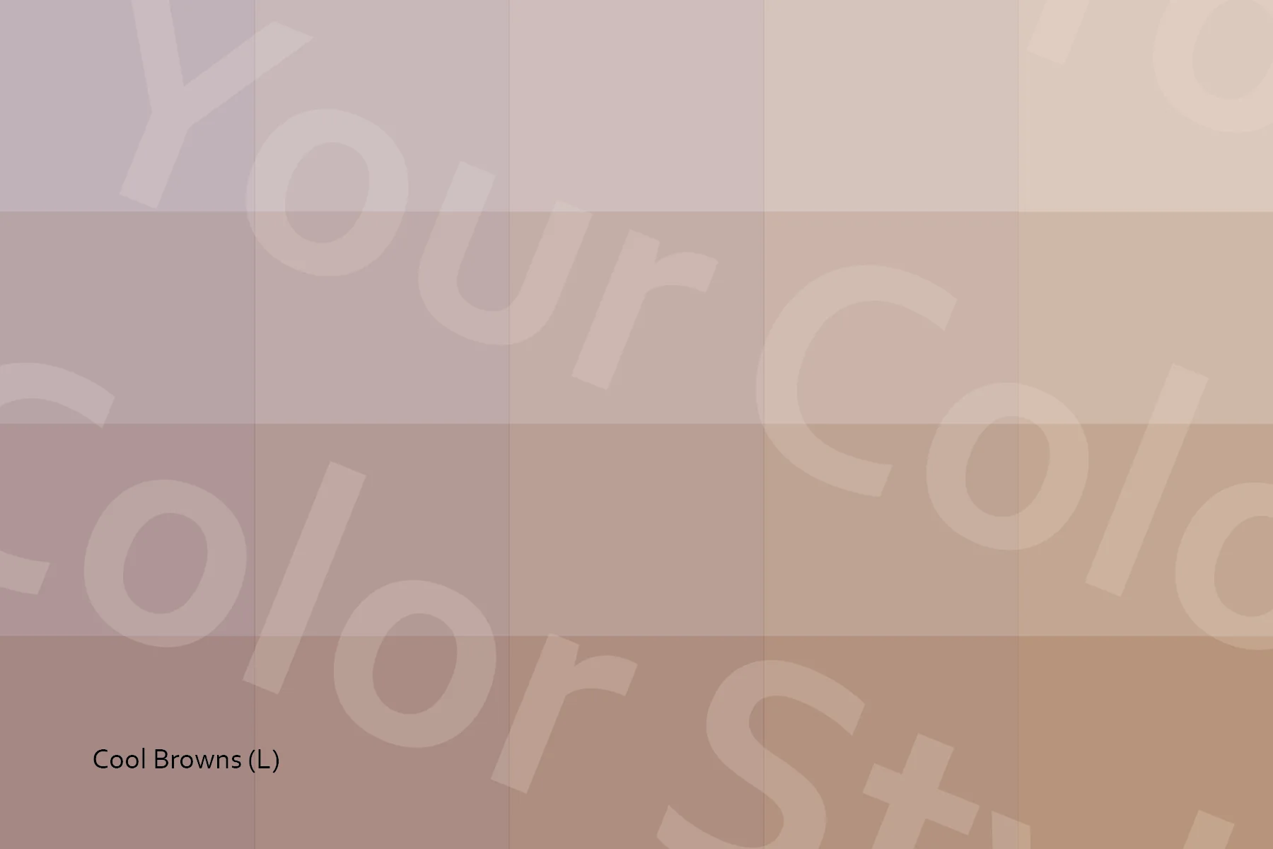 Light Cool Browns - Color Palette Postcard