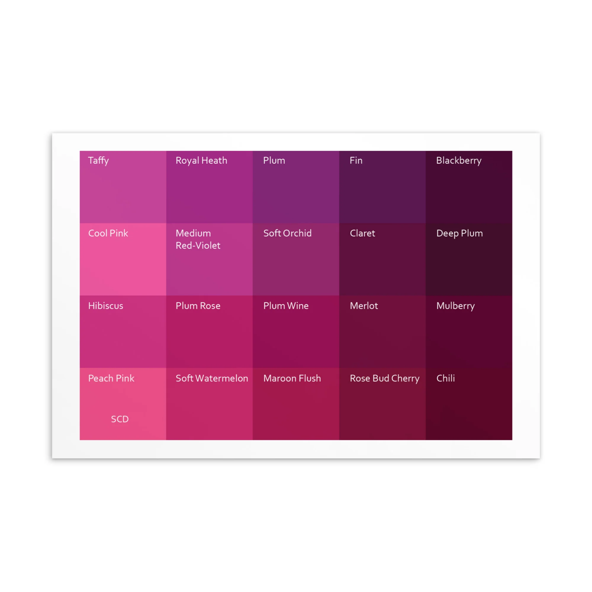Soft Cool Deep Pinks - Color Palette Print - Image 2