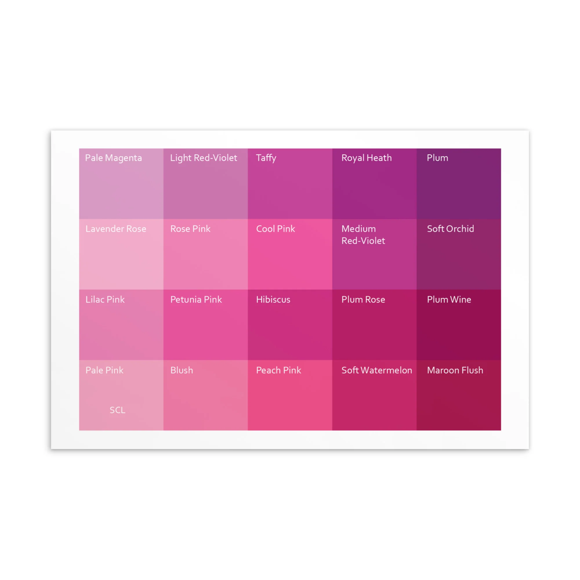 Soft Cool Light Pinks - Color Palette Print - Image 2