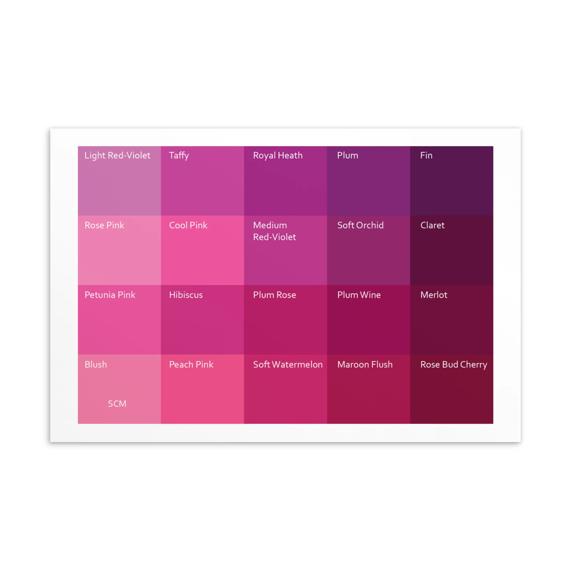 Soft Cool Medium Pinks - Color Palette Print - Image 2